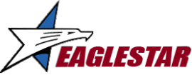 Eaglestar Security Inc