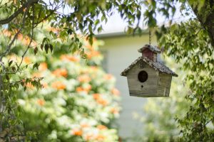 A Hanging Birdhouse