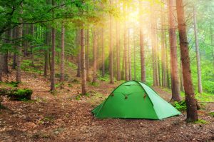 Camping tent in a forest