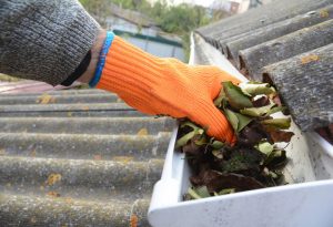 Spring Cleaning, Home Safety, Gutter Cleaning