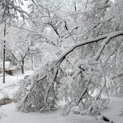 Snowstorm damage to power lines in a residential neighborhood, possibly resulting in a power outage